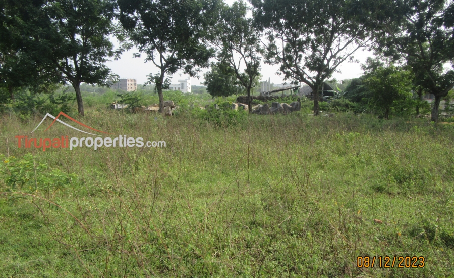 Tuda Approved North and South Facing 68 Anks Two Plots for Sale in TUDA Layout HIG Near Karkamabadi Road, Tirupati